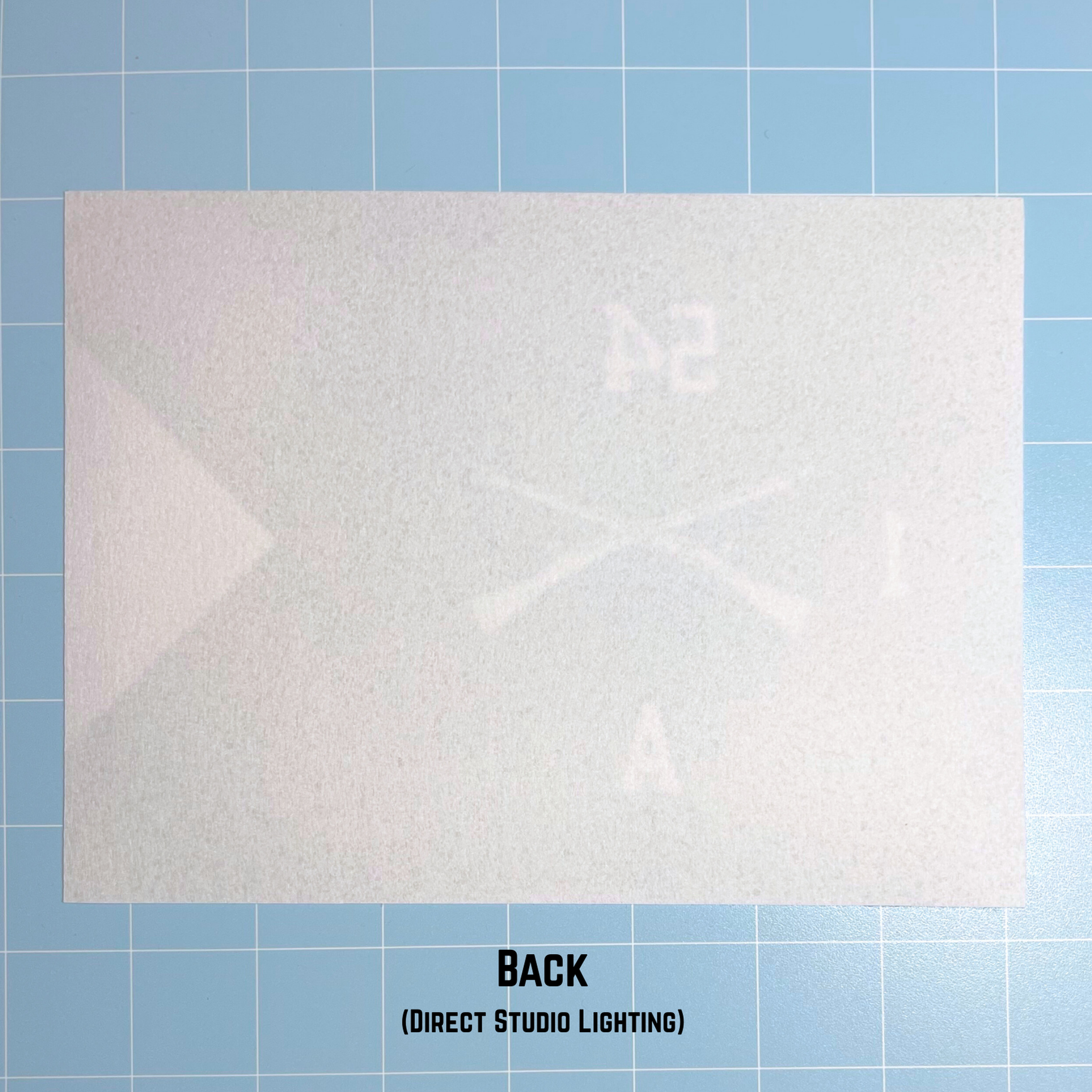 Seamless Guidon Replica (for Framing)