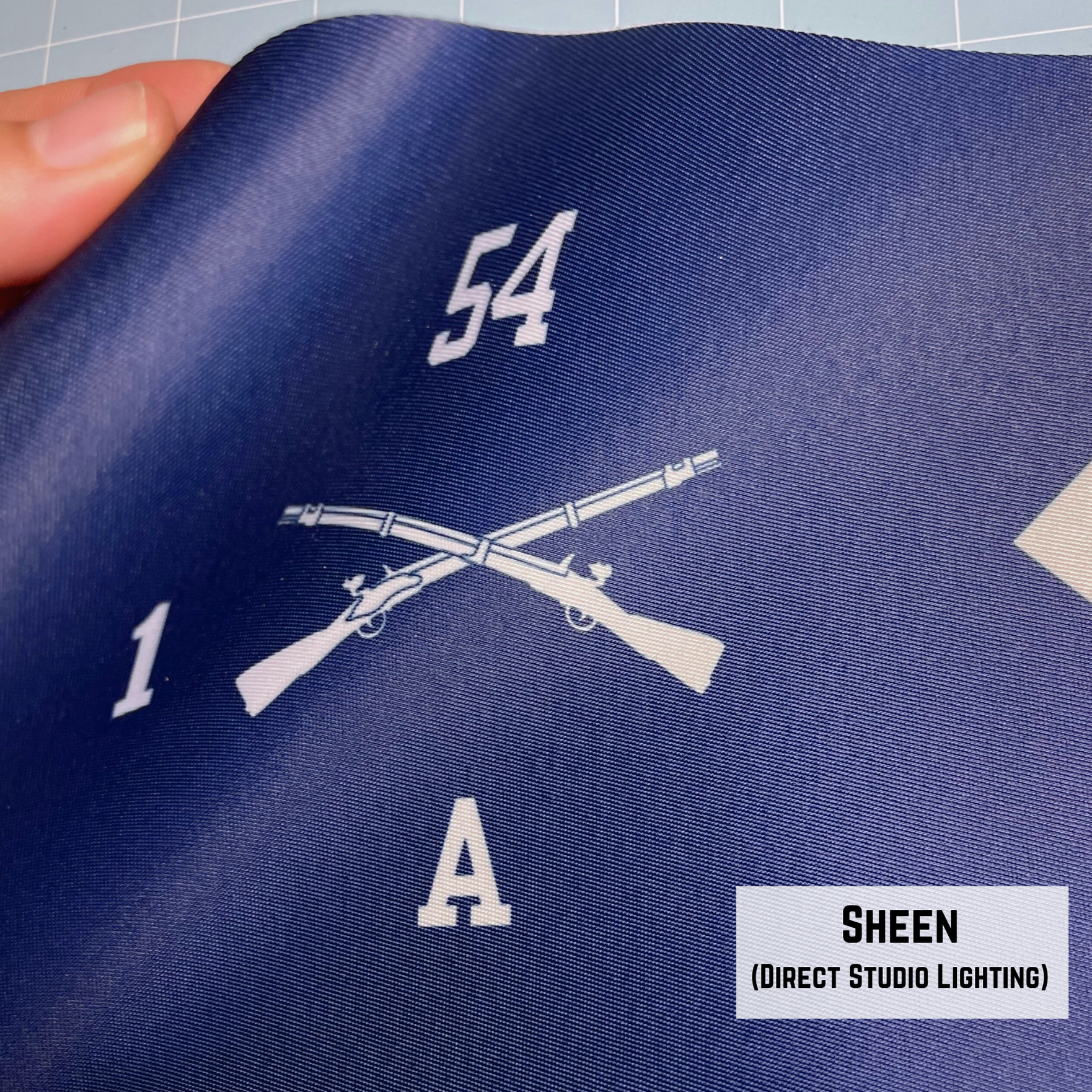 Seamless Guidon Replica (for Framing)